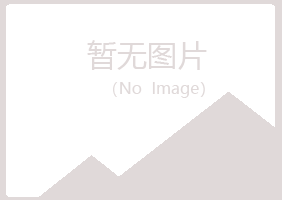 安图县清新采矿有限公司